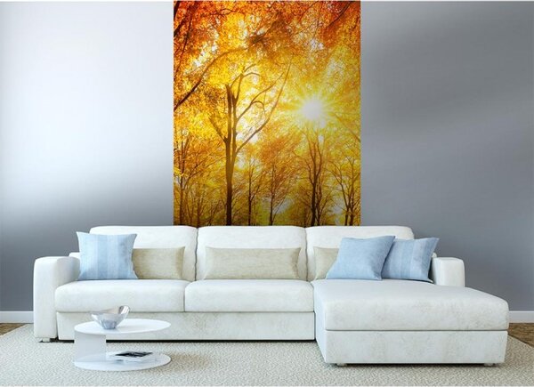 DIMEX | Vliesové fototapety na stenu Slnečný les MS-2-0067 | 150 x 250 cm | žltá, oranžová, zelená