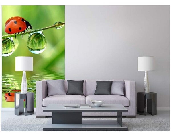 DIMEX | Vliesové fototapety na stenu Lienka MS-2-0226 | 150 x 250 cm | zelená, červená, čierna