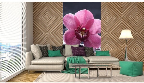 DIMEX | Vliesové fototapety na stenu Orchidea MS-2-0120 | 150 x 250 cm | čierna, ružová