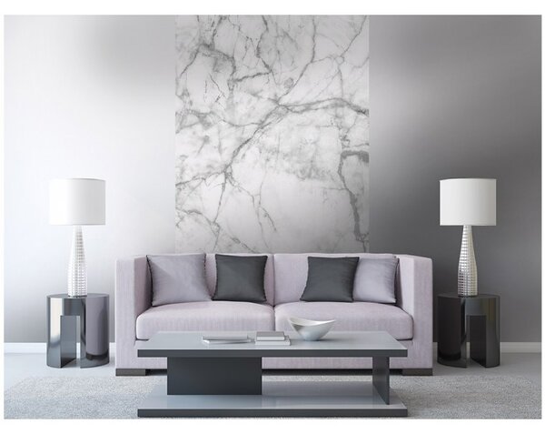DIMEX | Vliesové fototapety na stenu Biely mramor MS-2-0178 | 150 x 250 cm | biela, šedá