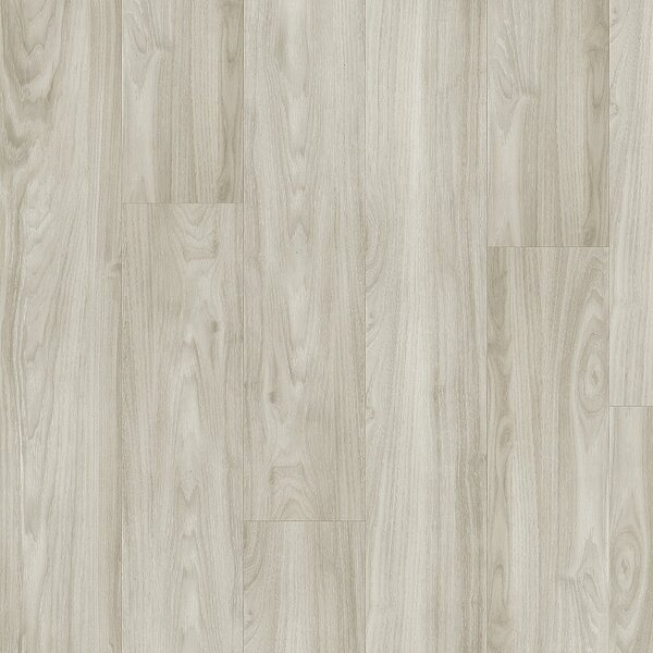 FATRA Thermofix pro wood Dub bělený 14123-2 - 4.32 balení