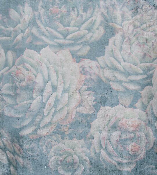 DIMEX | Vliesová fototapeta na stenu Abstrakt aloe MS-3-0349 | 225 x 250 cm | modrá, zelená, ružová