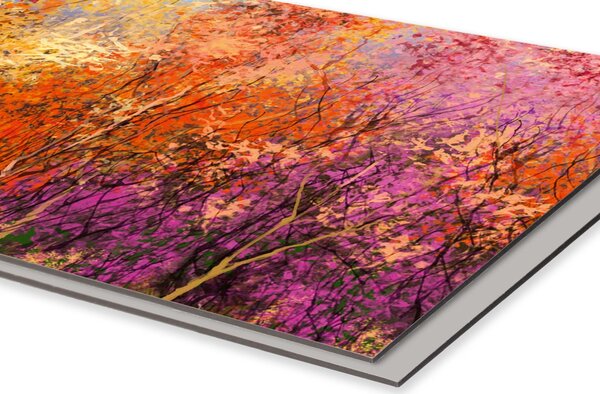 DIMEX | Dibond doska za kuchynskú linku | DBW-08060-211 Farebné kvetinové pozadie | 80 x 60 cm