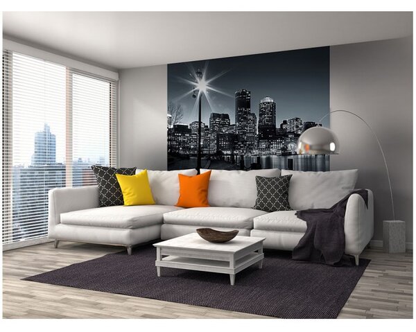 DIMEX | Vliesová fototapeta na stenu Boston MS-3-0016 | 225 x 250 cm | čiernobiela