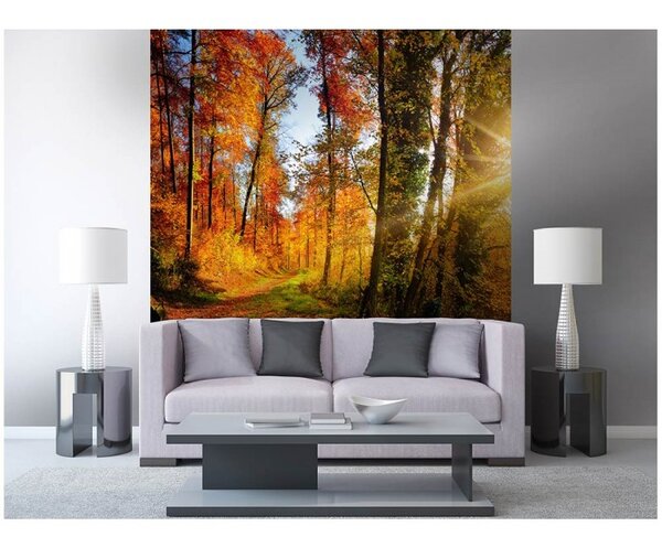 DIMEX | Vliesová fototapeta na stenu Prechádzka lesom MS-3-0065 | 225 x 250 cm | oranžová, zelená