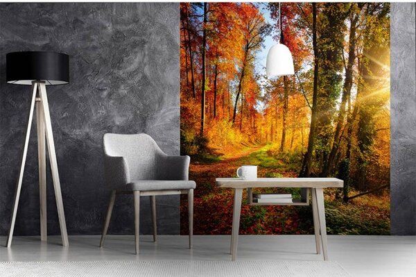 DIMEX | Vliesová fototapeta na stenu Prechádzka lesom MS-3-0065 | 225 x 250 cm | oranžová, zelená