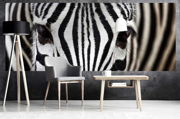 DIMEX | Panoramatická vliesová fototapeta na stenu Zebra MP-2-0234 | 375 x 150 cm | čierna, biela