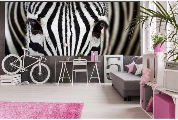 DIMEX | Panoramatická vliesová fototapeta na stenu Zebra MP-2-0234 | 375 x 150 cm | čierna, biela