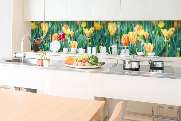 DIMEX | Fototapeta do kuchyne Tulipány KI-350-122 | 350 x 60 cm | zelená, červená, žltá