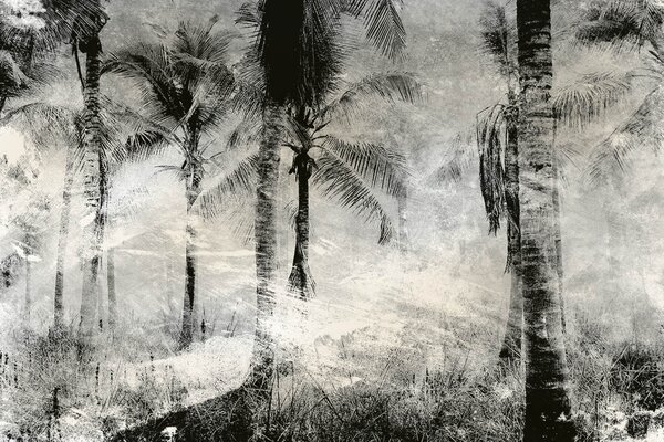 DIMEX | Vliesové fototapety na stenu Abstrakt palmy MS-5-0374 | 375 x 250 cm | čierna, biela