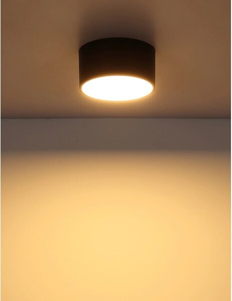 Globo 56964S - LED stropné svietidlo RAYMOND LED/12W/230V 3000K priemer 15 cm čierna