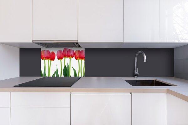 DIMEX | Dibond doska za kuchynskú linku | DBW-06040-058 Tulipány | 60 x 40 cm