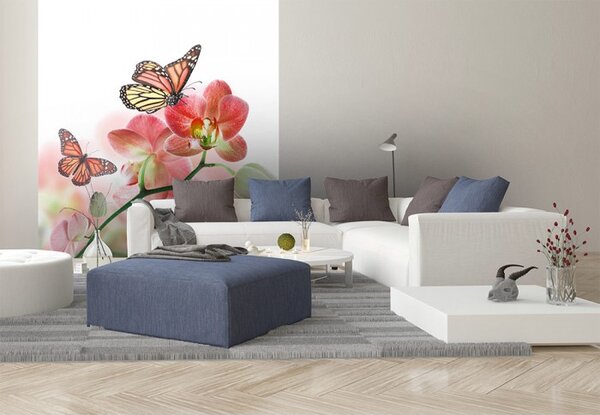 DIMEX | Vliesová fototapeta na stenu Motýle a orchidey MS-3-0146 | 225 x 250 cm | biela, viacfarebná