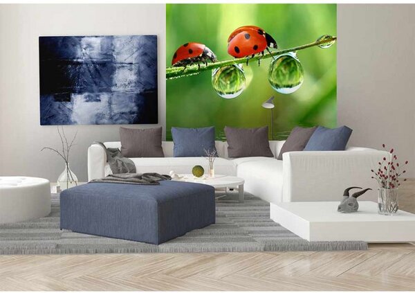 DIMEX | Vliesová fototapeta na stenu Lienka MS-3-0226 | 225 x 250 cm | zelená, červená, čierna