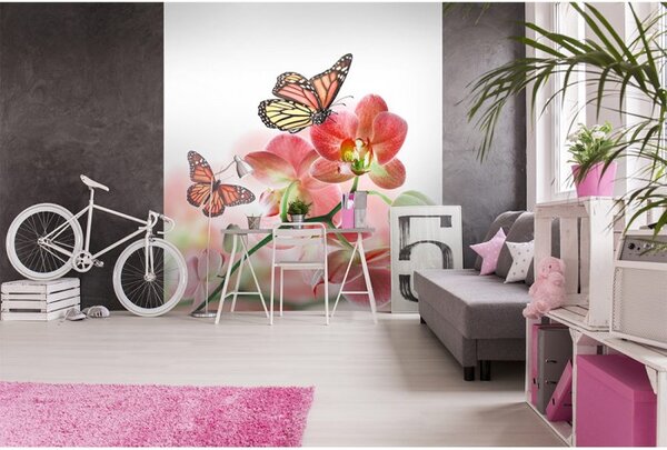 DIMEX | Vliesová fototapeta na stenu Motýle a orchidey MS-3-0146 | 225 x 250 cm | biela, viacfarebná