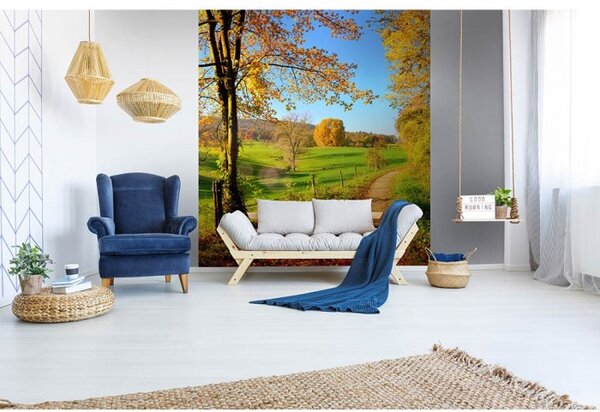 DIMEX | Vliesová fototapeta na stenu Lúka MS-3-0066 | 225 x 250 cm | zelená, žltá, modrá, červená