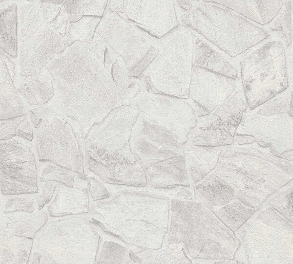 A.S. Création | Vliesová tapeta na stenu Terra 3893-50 | 0,53 x 10,05 m | biela, šedá