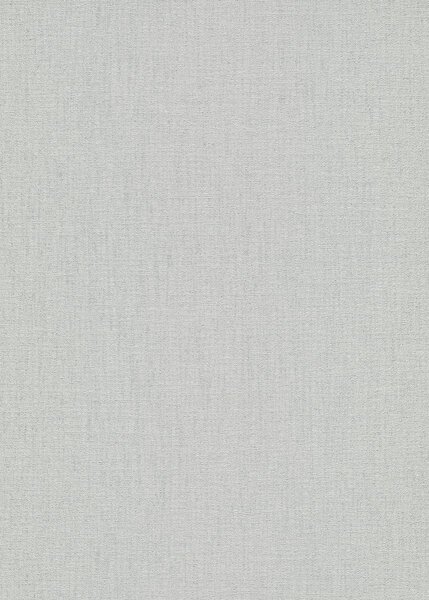 DIMEX | Vliesová tapeta na stenu WPE-901251 | 0,53 x 10,05 m | metalická, strieborná