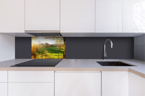 DIMEX | Dibond doska za kuchynskú linku | DBW-06040-083 Lúka | 60 x 40 cm