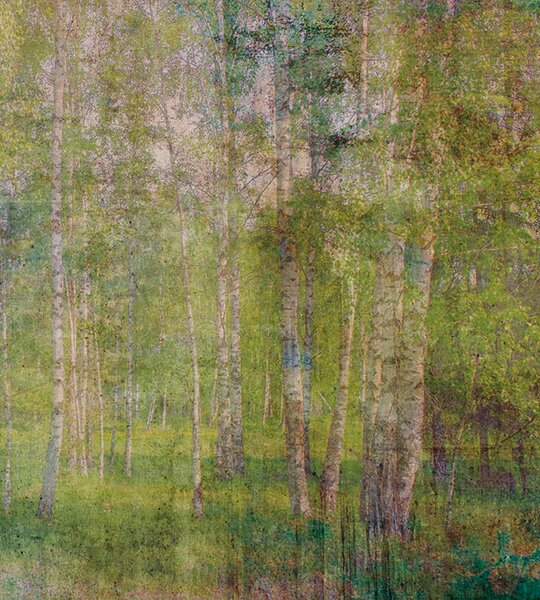 DIMEX | Vliesová fototapeta na stenu Abstrakt listy MS-3-0351 | 225 x 250 cm | zelená, žltá