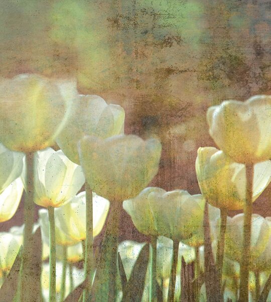 DIMEX | Vliesová fototapeta na stenu Astrakt biele tulipány MS-3-0385 | 225 x 250 cm | zelená, biela, žltá, viacfarebná
