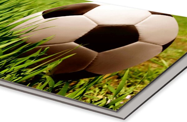 DIMEX | Dibond doska za kuchynskú linku | DBW-08040-038 Futbalová lopta| 80 x 40 cm