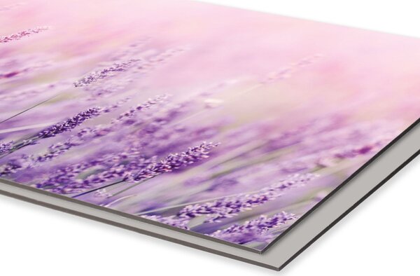 DIMEX | Dibond doska za kuchynskú linku | DBW-08040-124 Levanduľa| 80 x 40 cm