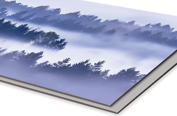 DIMEX | Dibond doska za kuchynskú linku | DBW-08040-195 Hmla medzi stromami| 80 x 40 cm