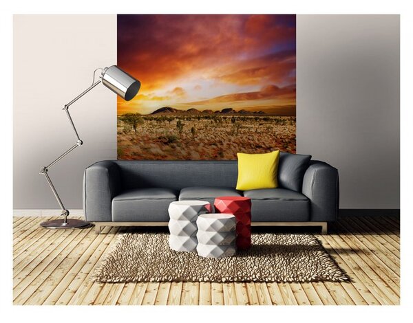 DIMEX | Vliesová fototapeta na stenu Austrália MS-3-0050 | 225 x 250 cm | oranžová, žltá, hnedá, zelená
