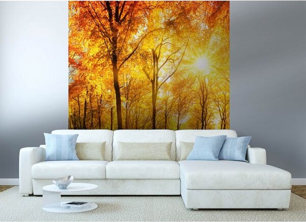 DIMEX | Vliesová fototapeta na stenu Slnečný les MS-3-0067 | 225 x 250 cm | žltá, oranžová, zelená