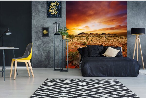 DIMEX | Vliesová fototapeta na stenu Austrália MS-3-0050 | 225 x 250 cm | oranžová, žltá, hnedá, zelená