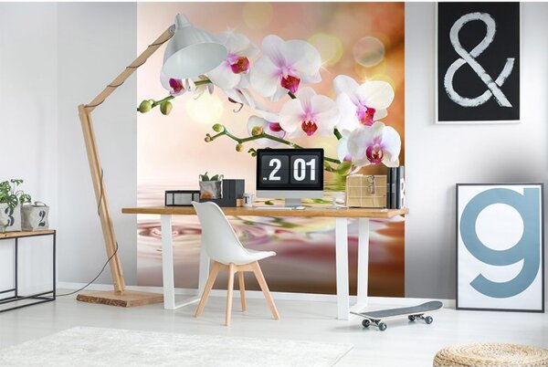 DIMEX | Vliesová fototapeta na stenu Biela orchidea MS-3-0147 | 225 x 250 cm | biela, zelená, ružová, oranžová