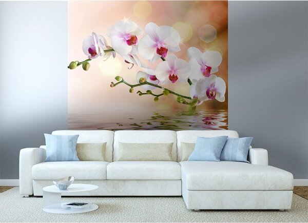 DIMEX | Vliesová fototapeta na stenu Biela orchidea MS-3-0147 | 225 x 250 cm | biela, zelená, ružová, oranžová