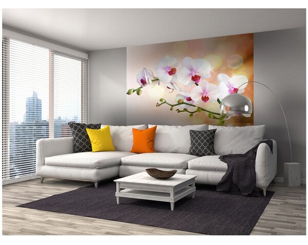 DIMEX | Vliesová fototapeta na stenu Biela orchidea MS-3-0147 | 225 x 250 cm | biela, zelená, ružová, oranžová