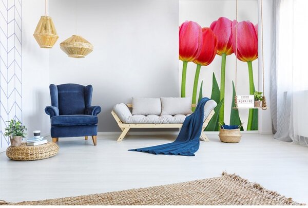 DIMEX | Vliesové fototapety na stenu Tulipány MS-2-0126 | 150 x 250 cm | zelená, červená, biela