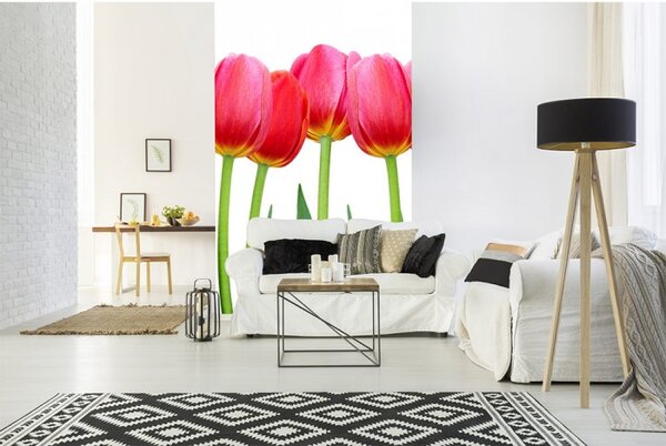 DIMEX | Vliesové fototapety na stenu Tulipány MS-2-0126 | 150 x 250 cm | zelená, červená, biela