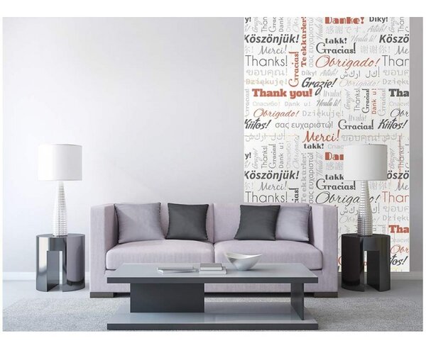 DIMEX | Vliesové fototapety na stenu Nápisy ďakujem MS-2-0266 | 150 x 250 cm | biela, šedá, oranžová