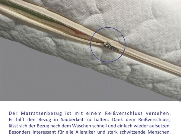 TAŠTIČKOVÝ MATRAC, 90/200 cm Boxxx - Matrace, Online Only