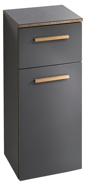 SPODNÁ SKRINKA, sivá, 30/72/33 cm Xora - Kúpeľňové skrinky