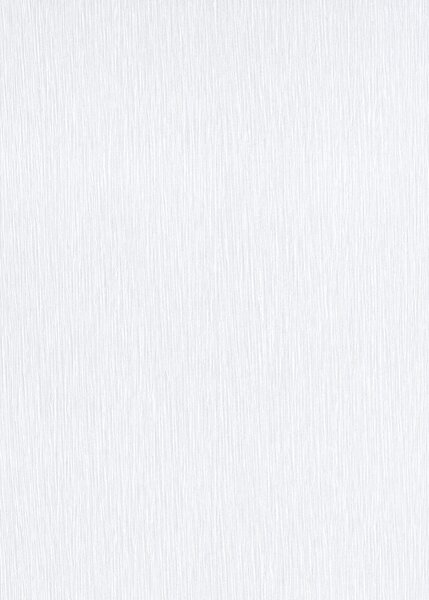 DIMEX | Papierová tapeta na stenu WPE-901860 | 0,53 x 10,05 m | šedá