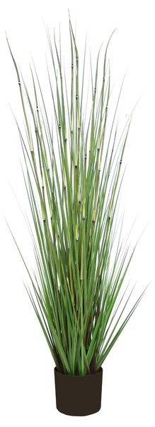 UMELÁ RASTLINA 120 cm Ambia Home - Kvety & kvetináče, Online Only