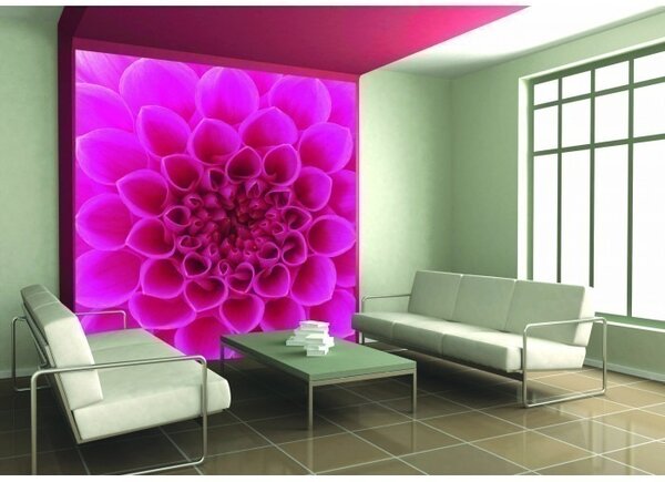 DIMEX | Vliesová fototapeta na stenu Ružová georgína MS-3-0132 | 225 x 250 cm | ružová
