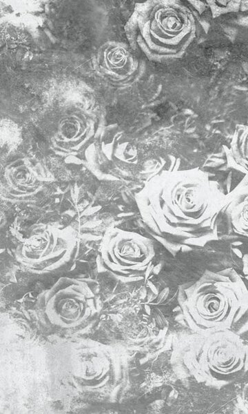 DIMEX | Vliesové fototapety na stenu Abstrakt ruže II. MS-2-0378 | 150 x 250 cm | šedá, biela
