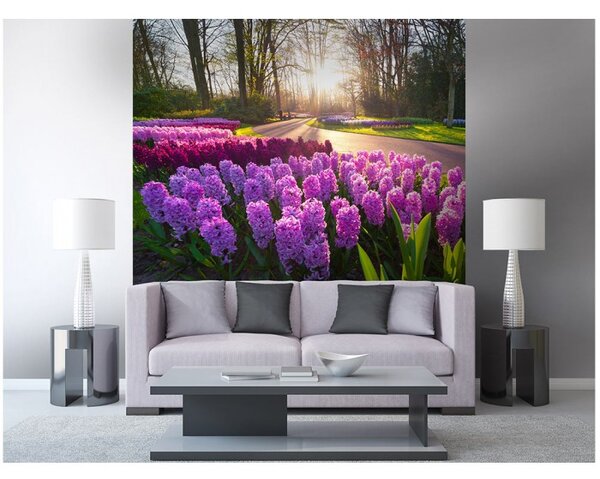 DIMEX | Vliesová fototapeta na stenu Kvety hyacintu MS-3-0068 | 225 x 250 cm | fialová, zelená, viacfarebná