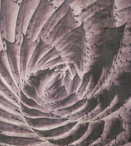 DIMEX | Vliesová fototapeta na stenu Abstrakt kaktus MS-3-0352 | 225 x 250 cm | fialová, čierna
