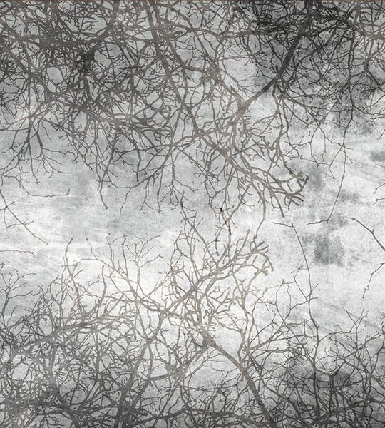 DIMEX | Vliesová fototapeta na stenu Abstrakt vetvy MS-3-0386 | 225 x 250 cm | čierna, šedá