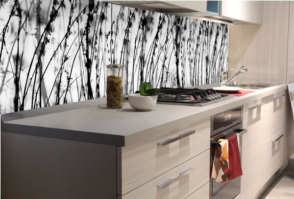 DIMEX | Fototapeta do kuchyne Čierna a biela tráva KI-180-137 | 180 x 60 cm | čiernobiela