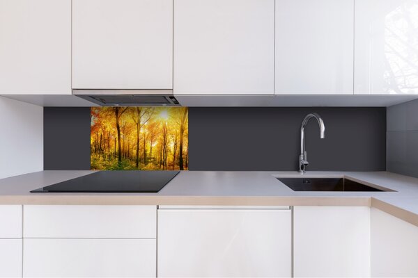 DIMEX | Dibond doska za kuchynskú linku | DBW-06040-084 Slnečný les | 60 x 40 cm