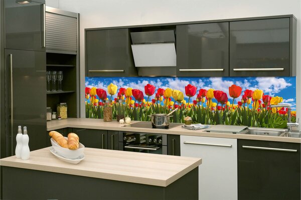 DIMEX | Fototapeta do kuchyne Tulipánové pole KI-260-131 | 260 x 60 cm | zelená, modrá, červená, žltá