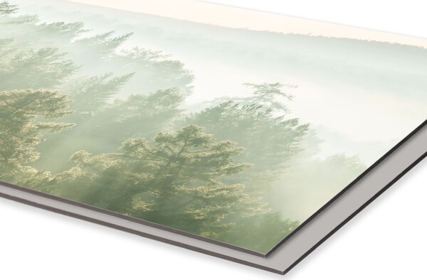 DIMEX | Dibond doska za kuchynskú linku | DBW-10060-196 Slnečné lúče nad lesom | 100 x 60 cm